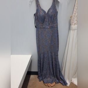 Silvery blue dress with nude underlay.